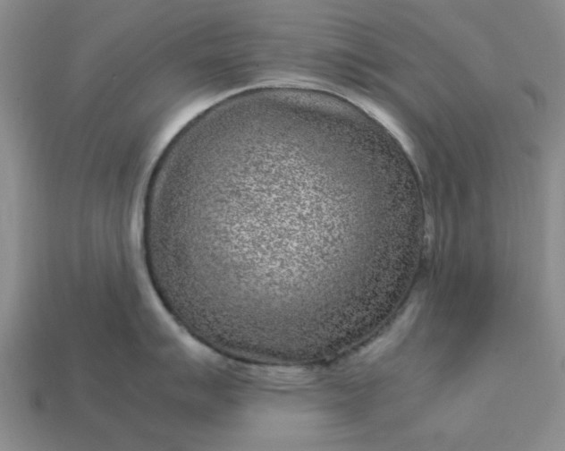 X0000113011007200909101813