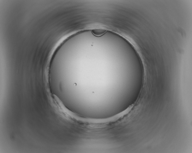 X0000113011008200909101813