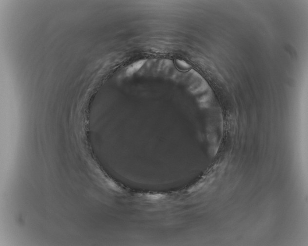 X0000113011009200909101813