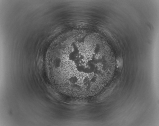 X0000113011011200909101813