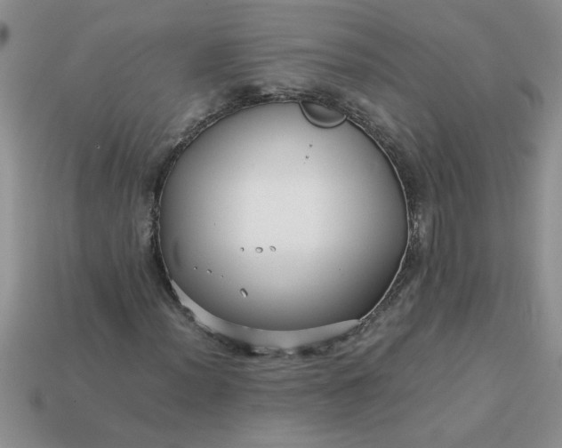 X0000113011012200909101813