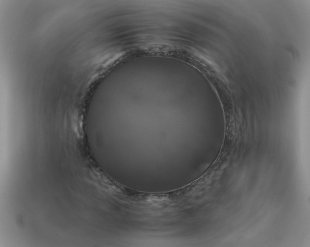 X0000113011013200909101813