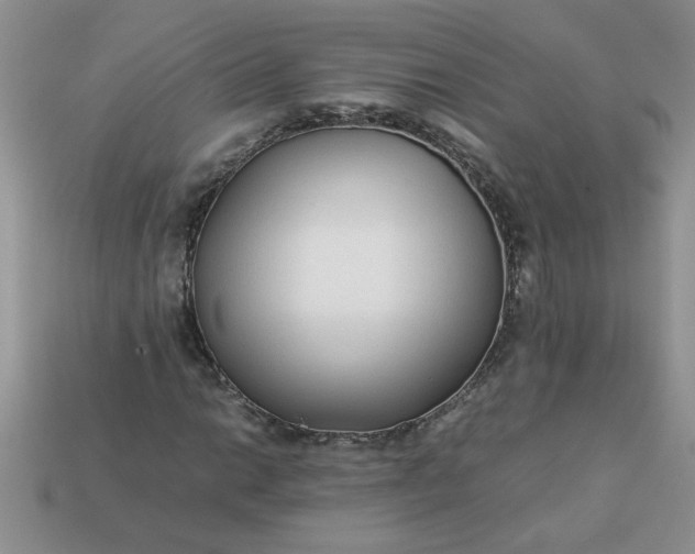 X0000113011014200909101813