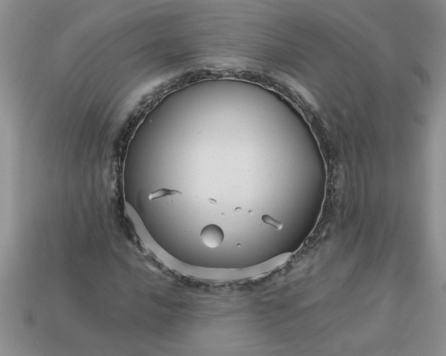 X0000113011016200909101813