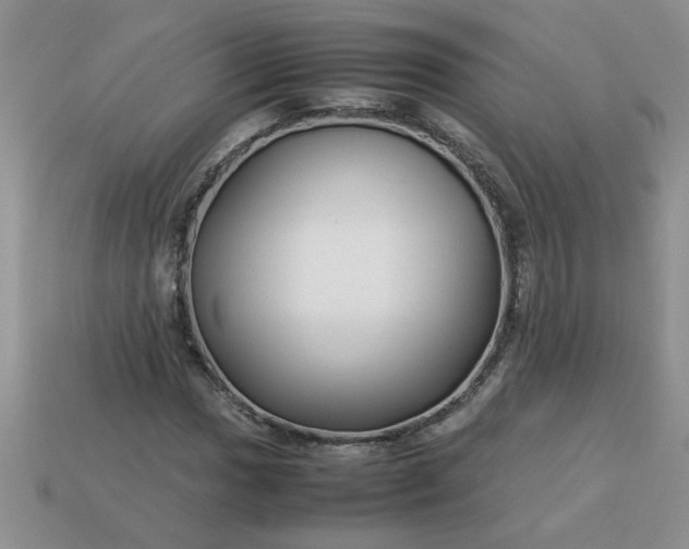 X0000113011017200909101813