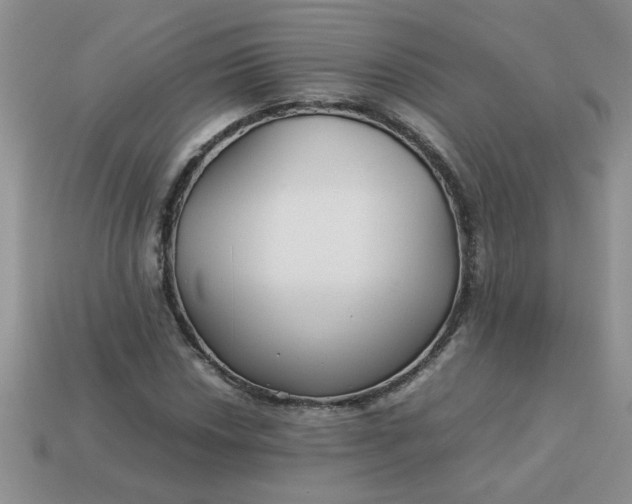 X0000113011018200909101813