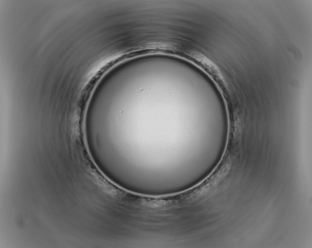 X0000113011019200909101813