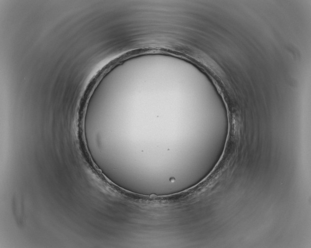 X0000113011020200909101813