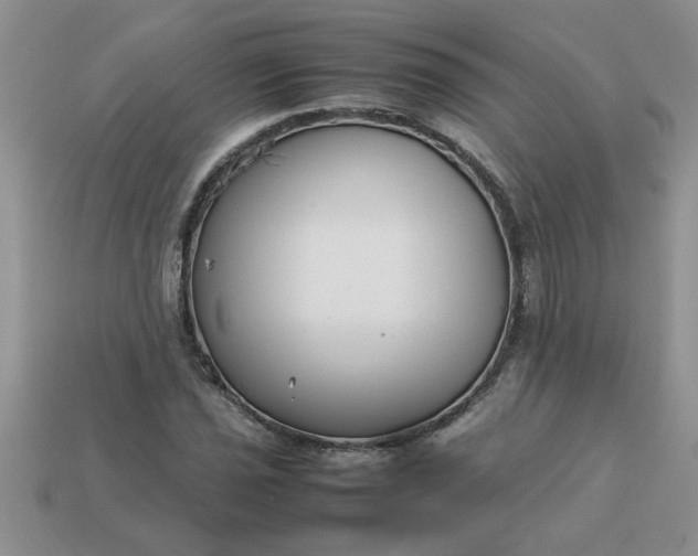 X0000113011021200909101813