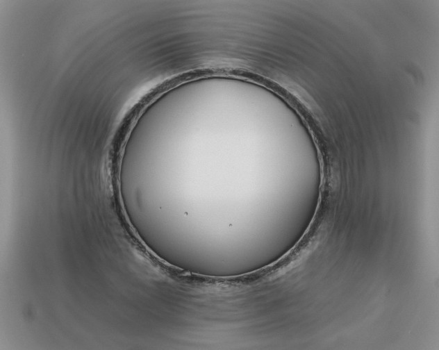 X0000113011022200909101813