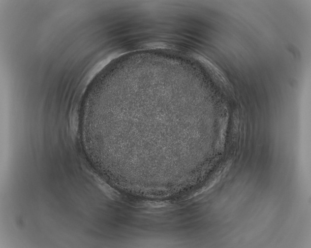 X0000113011023200909101813