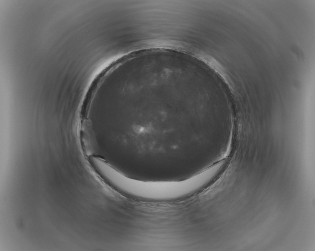 X0000113011024200909101813