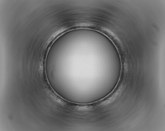 X0000113011025200909101813