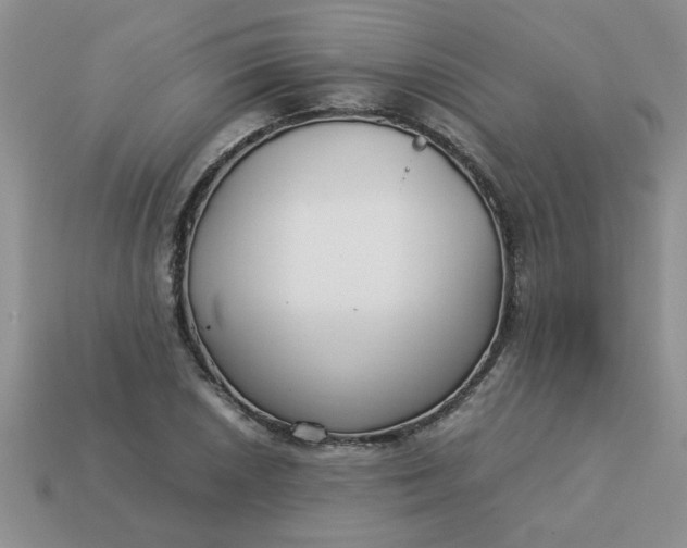 X0000113011026200909101813