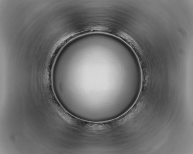 X0000113011027200909101813