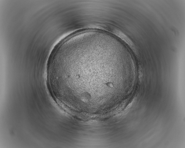 X0000113011028200909101813