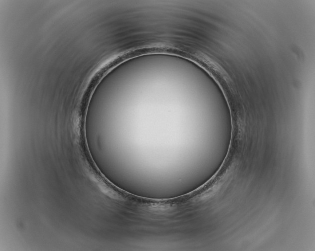 X0000113011029200909101813