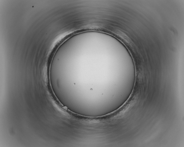 X0000113011030200909101813