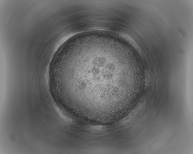 X0000113011031200909101813