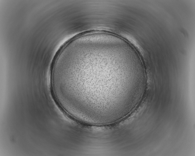 X0000113011032200909101813