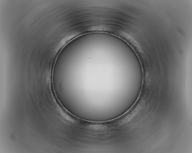 X0000113011033200909101813