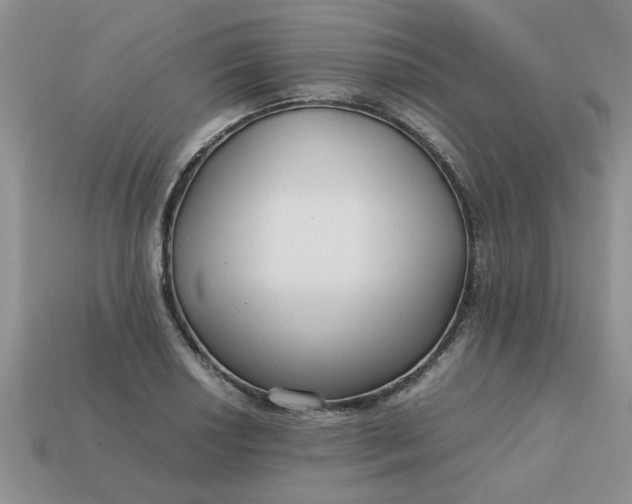 X0000113011034200909101813