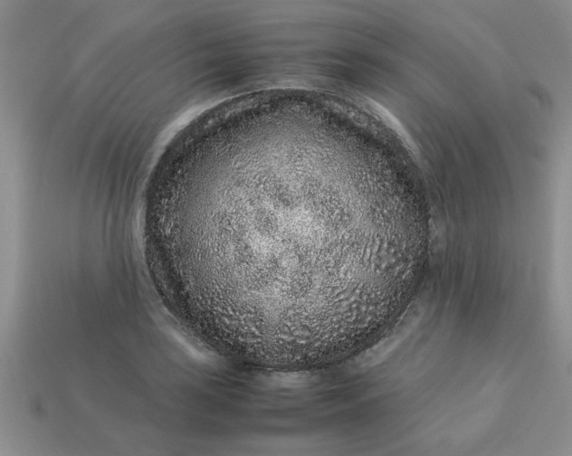 X0000113011035200909101813