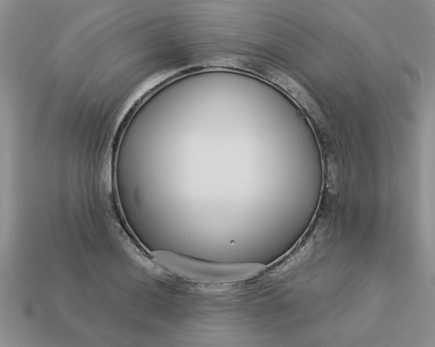 X0000113011036200909101813