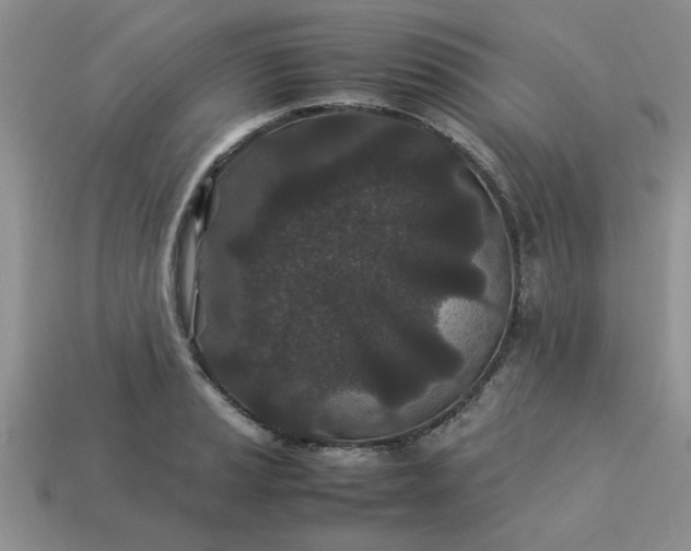 X0000113011037200909101813