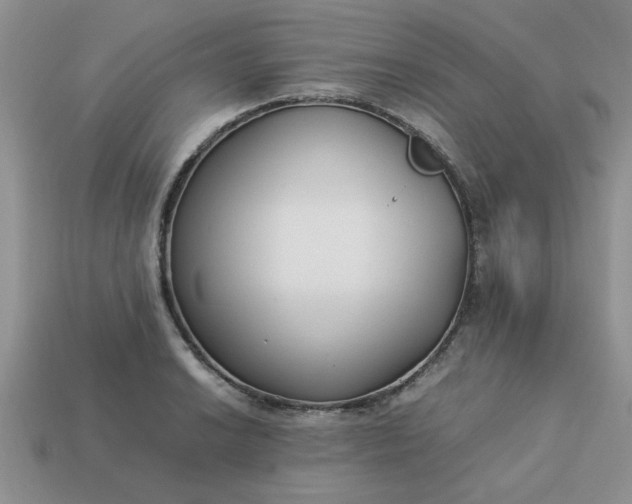 X0000113011038200909101813