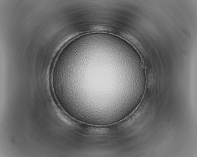 X0000113011039200909101813