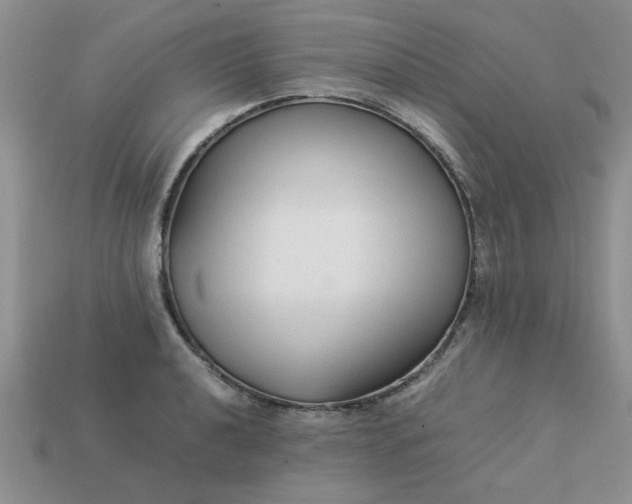 X0000113011040200909101813