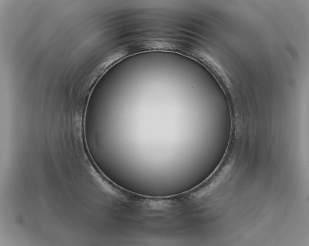 X0000113011041200909101813