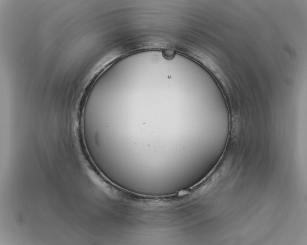 X0000113011042200909101813