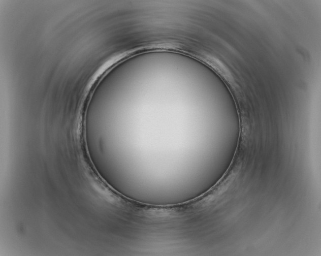 X0000113011044200909101813