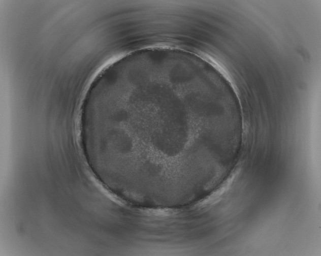 X0000113011045200909101813