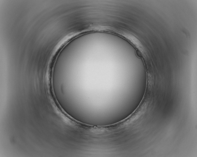 X0000113011046200909101813