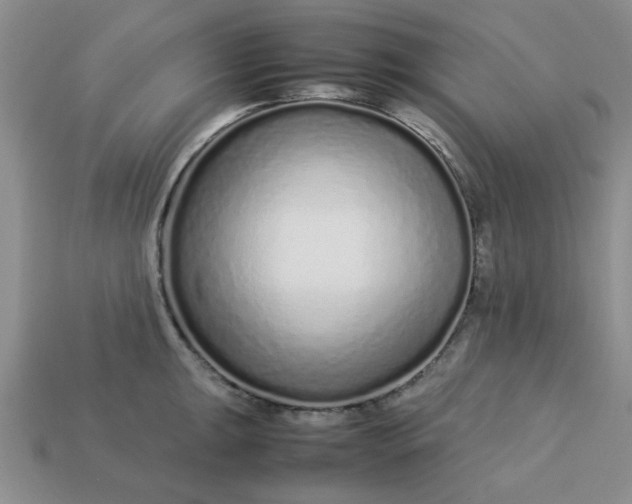 X0000113011047200909101813