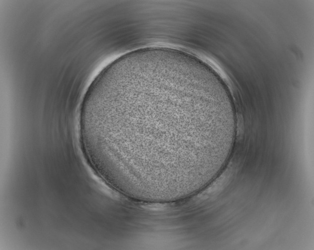 X0000113011048200909101813