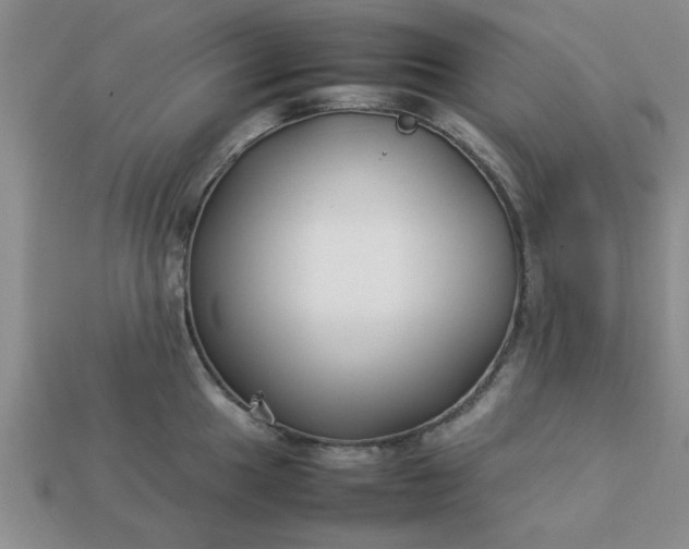 X0000113011049200909101813