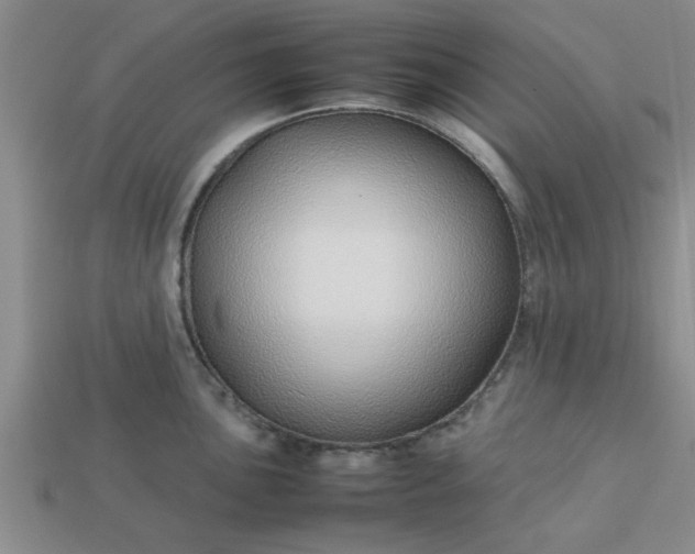 X0000113011051200909101813