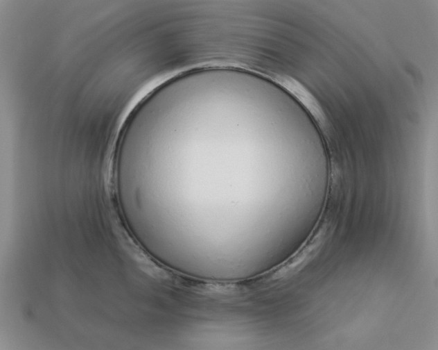 X0000113011052200909101813