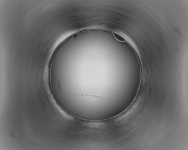 X0000113011053200909101813