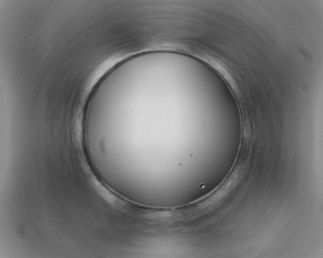 X0000113011054200909101813