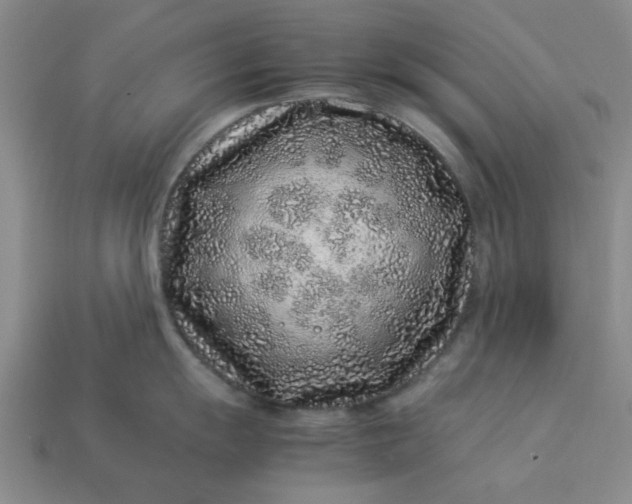 X0000113011055200909101813