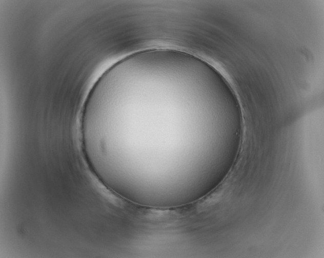 X0000113011056200909101813