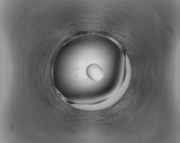 X0000113011057200909101813