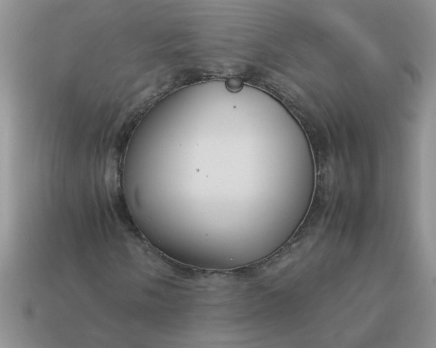 X0000113011058200909101813