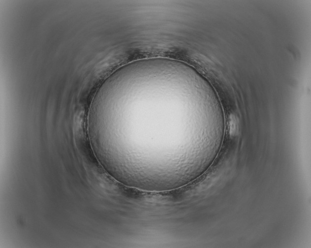 X0000113011059200909101813