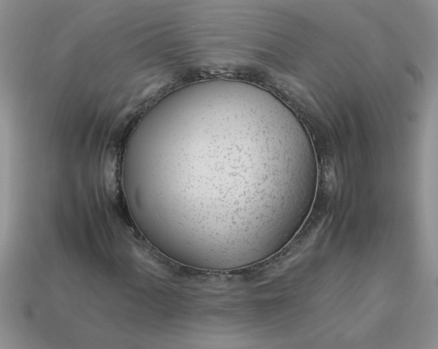 X0000113011060200909101813